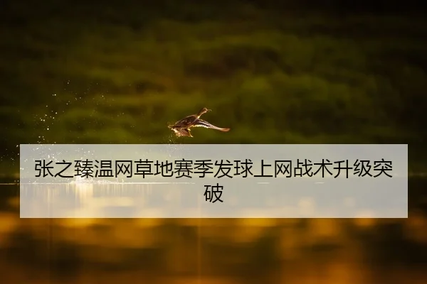 张之臻温网草地赛季发球上网战术升级突破