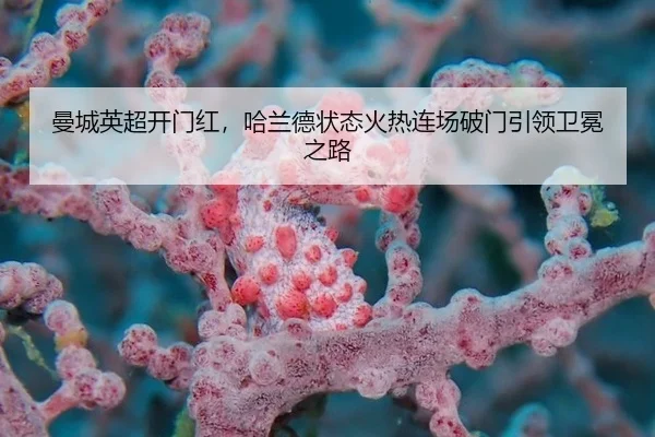 曼城英超开门红，哈兰德状态火热连场破门引领卫冕之路