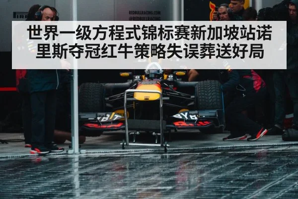 Red Bull pit stop strategy